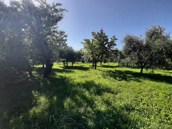 casa semindipendente in vendita a Roè Volciano