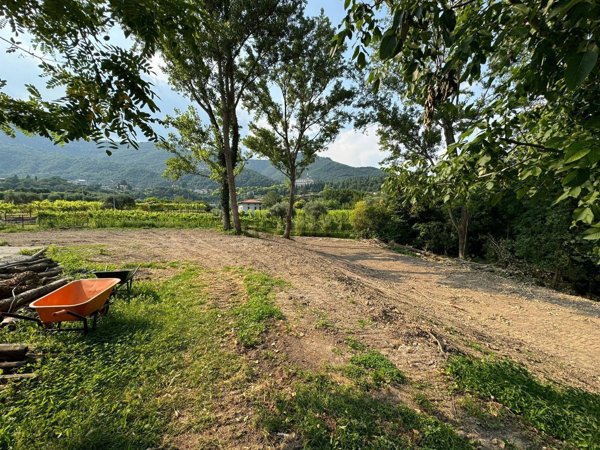 appartamento in vendita a Roè Volciano