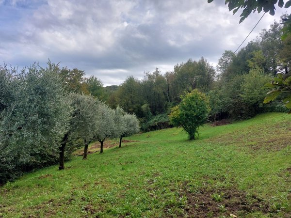 terreno in vendita a Roè Volciano