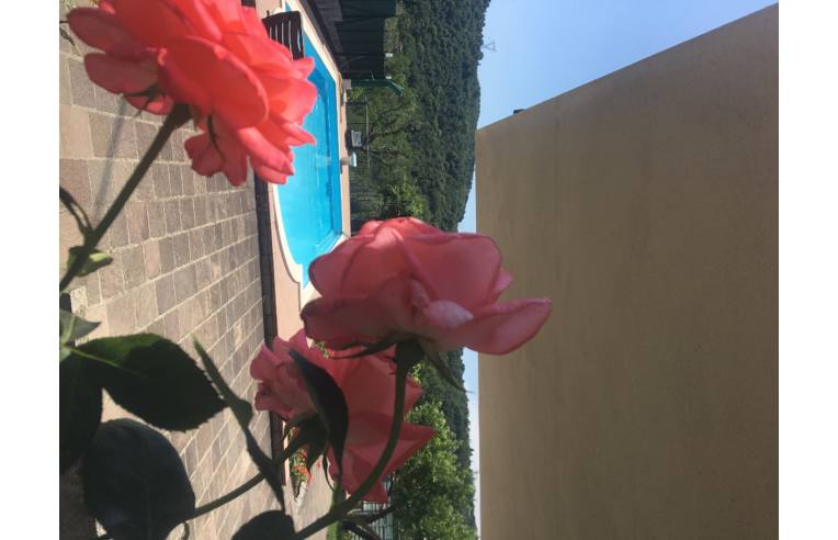 villa in vendita a Roè Volciano