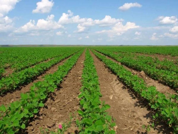 terreno agricolo in vendita a Rovato in zona Lodetto
