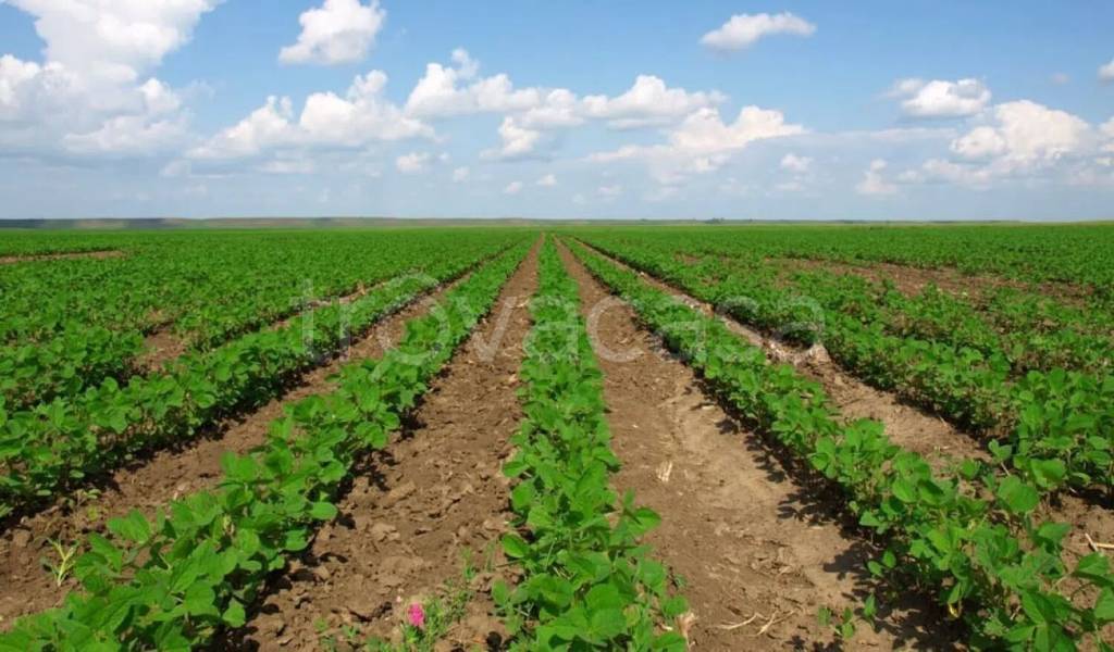appartamento in vendita a Rovato in zona Lodetto