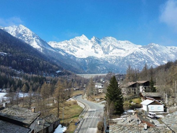 immagine annuncio 0 di 5