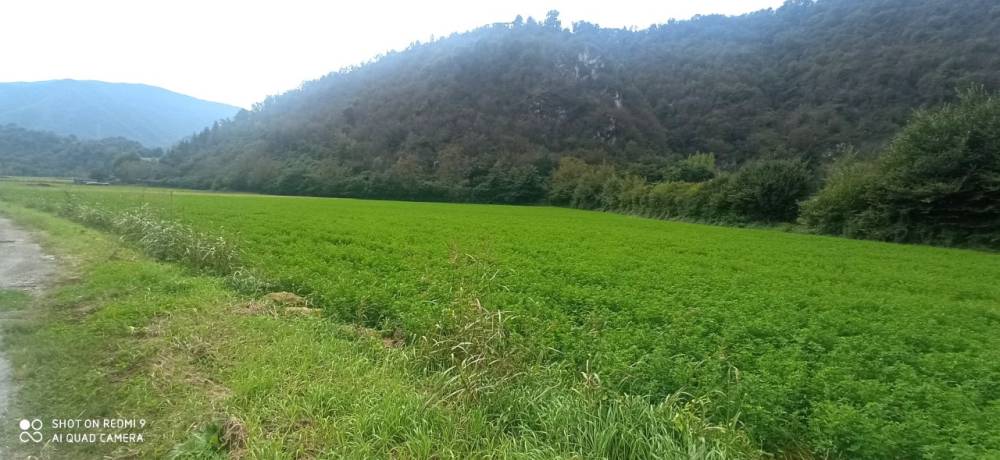 terreno edificabile in vendita a Sabbio Chiese