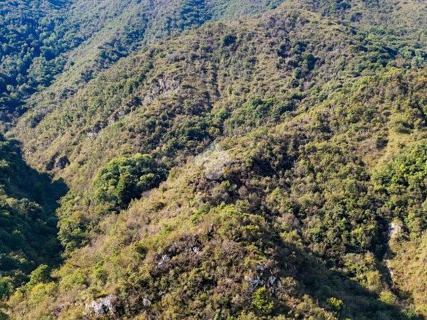 terreno agricolo in vendita a Sabbio Chiese