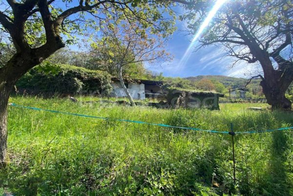 terreno agricolo in vendita a Sale Marasino