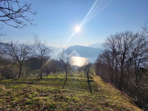 appartamento in vendita a Sale Marasino