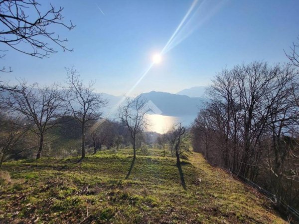 appartamento in vendita a Sale Marasino