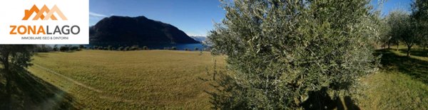 terreno agricolo in vendita a Sale Marasino