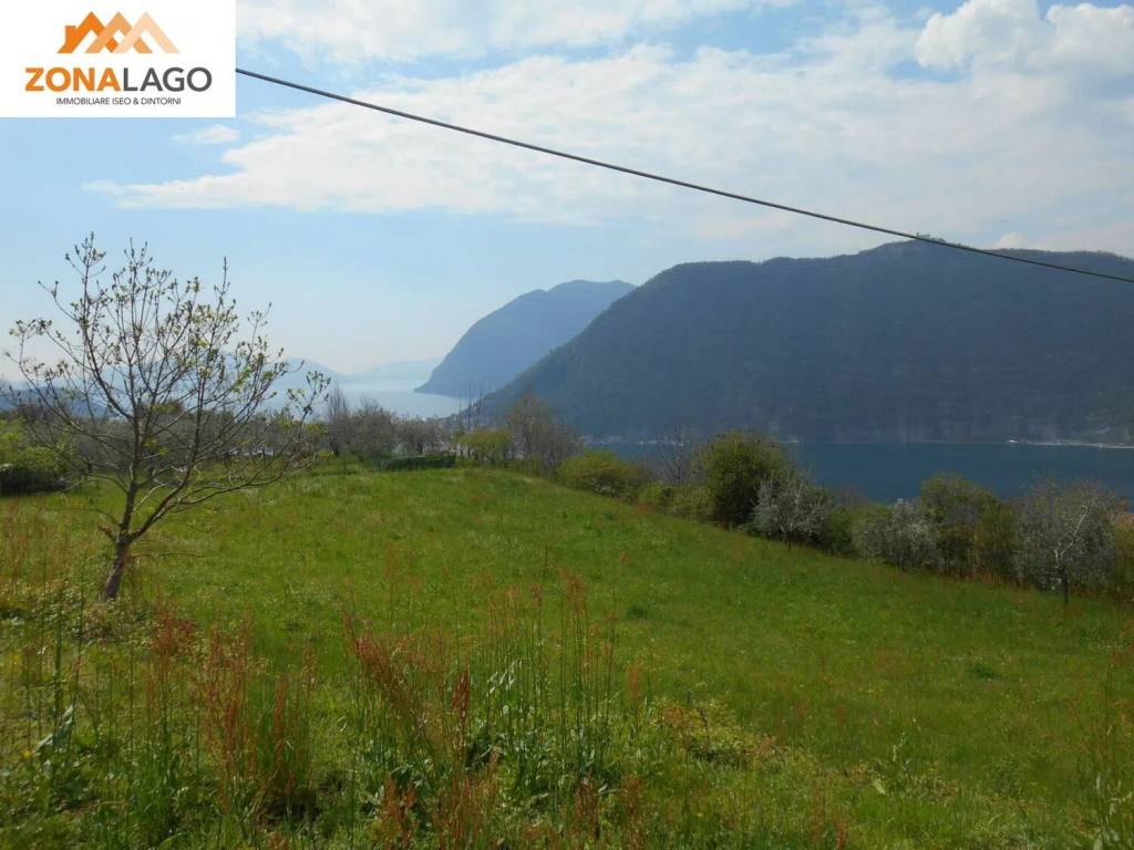 terreno agricolo in vendita a Sale Marasino