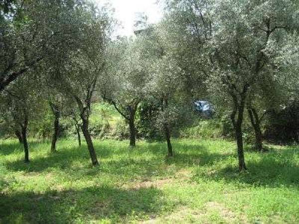 terreno agricolo in vendita a Salò
