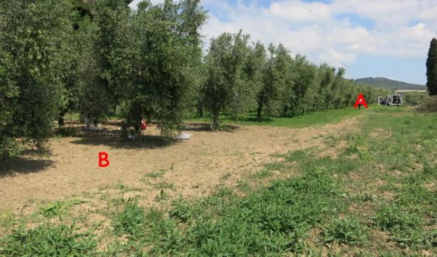 appartamento in vendita a Salò