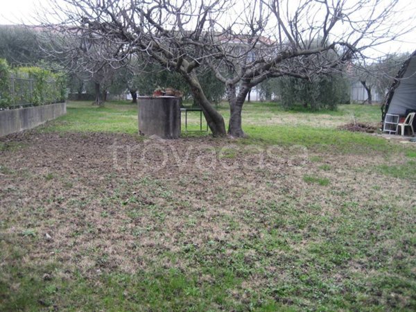 terreno agricolo in vendita a San Felice del Benaco in zona Portese