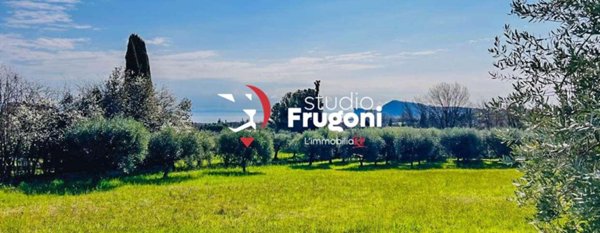 terreno edificabile in vendita a San Felice del Benaco