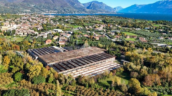 appartamento in vendita a San Felice del Benaco in zona Portese