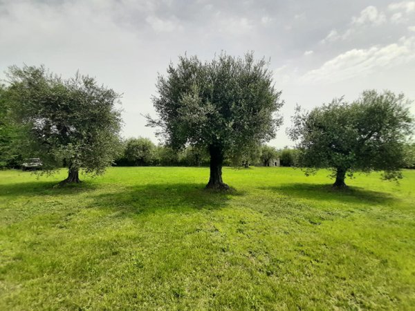 terreno agricolo in vendita a San Felice del Benaco in zona Portese