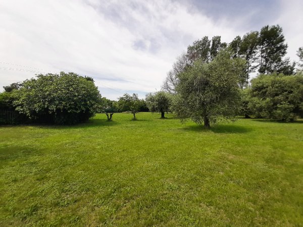 terreno agricolo in vendita a San Felice del Benaco in zona Portese