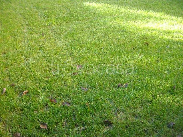 terreno agricolo in vendita a San Zeno Naviglio