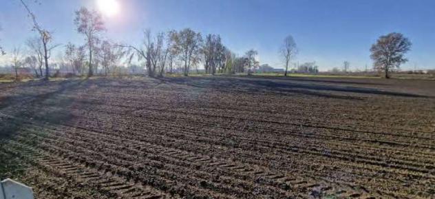 terreno edificabile in vendita a San Zeno Naviglio