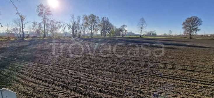terreno edificabile in vendita a San Zeno Naviglio