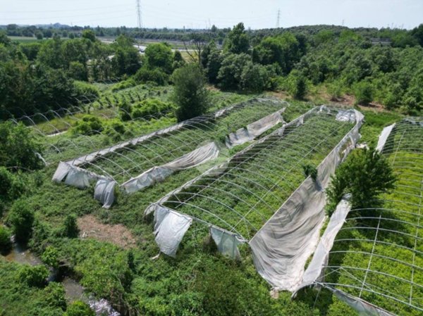 terreno in vendita a San Zeno Naviglio in zona Garza