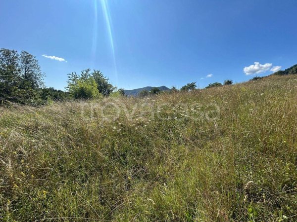 terreno agricolo in vendita a Sarezzo