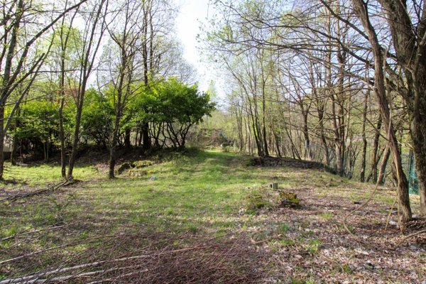 terreno agricolo in vendita a Saviore dell'Adamello in zona Valle