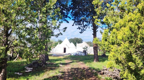 appartamento in vendita a Saviore dell'Adamello in zona Valle