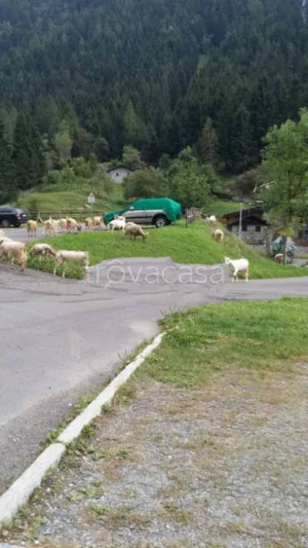appartamento in vendita a Saviore dell'Adamello in zona Valle