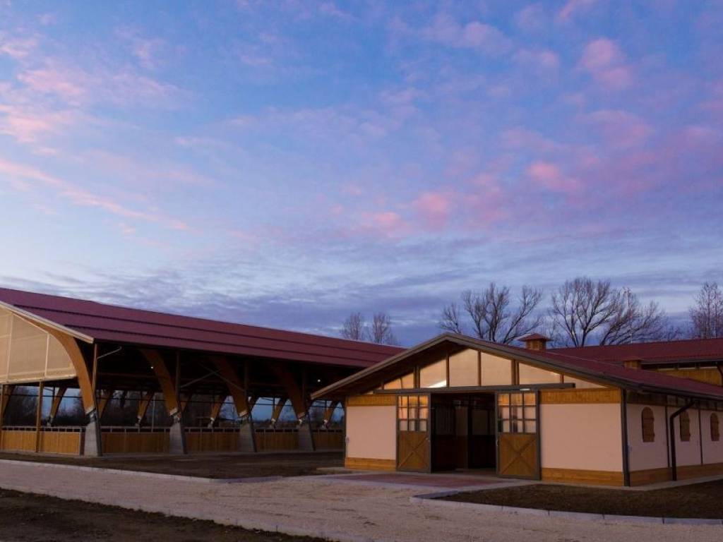 immagine annuncio 0 di 5