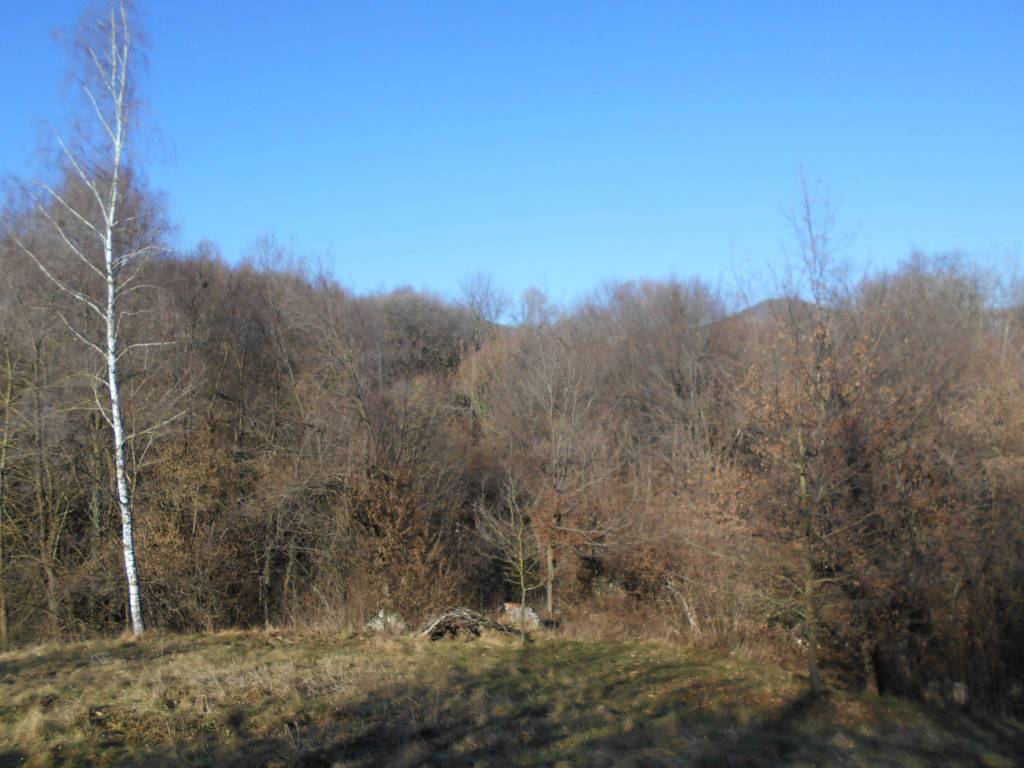 casa indipendente in vendita a Serle