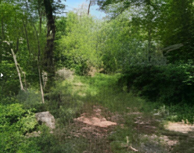 terreno agricolo in vendita a Serle