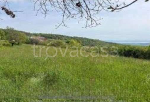 appartamento in vendita a Serle