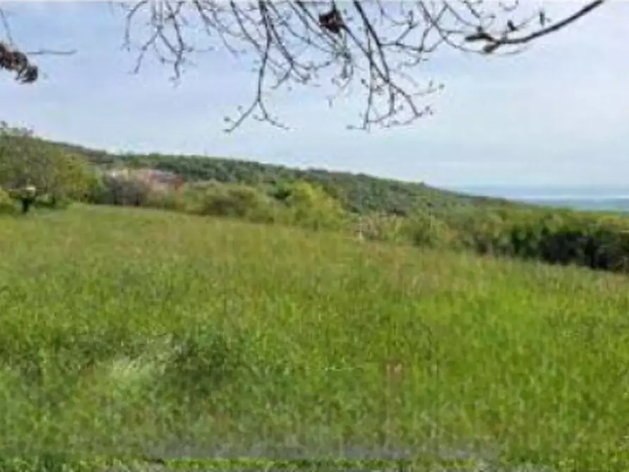 terreno agricolo in vendita a Serle