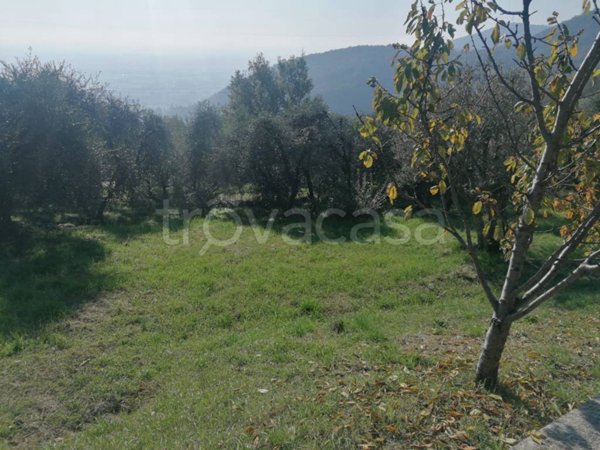 terreno agricolo in vendita a Serle