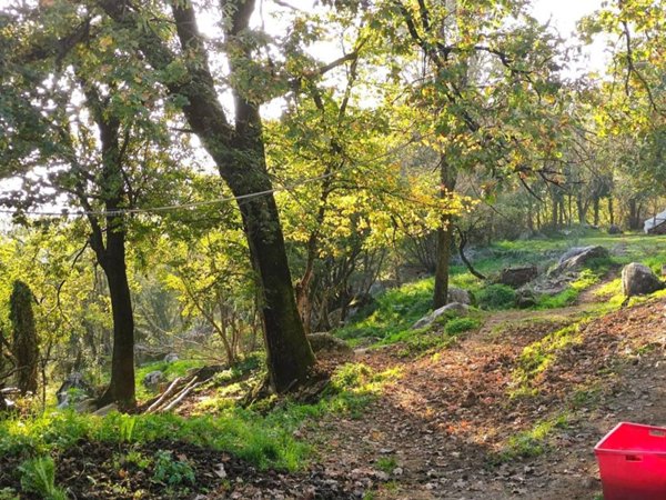 terreno agricolo in vendita a Serle