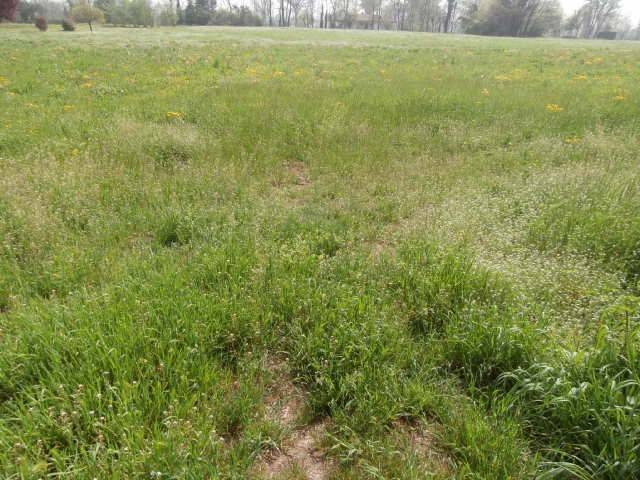 terreno agricolo in vendita a Serle
