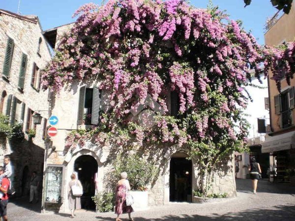 appartamento in vendita a Sirmione