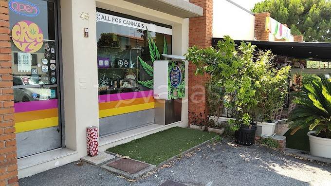 negozio in vendita a Sirmione