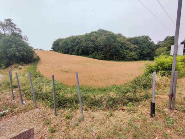 terreno agricolo in vendita a Soiano del Lago