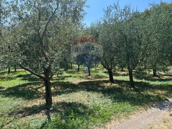 terreno agricolo in vendita a Soiano del Lago