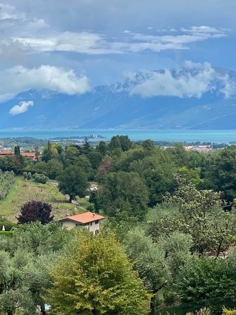 quadrivano in vendita a Soiano del Lago
