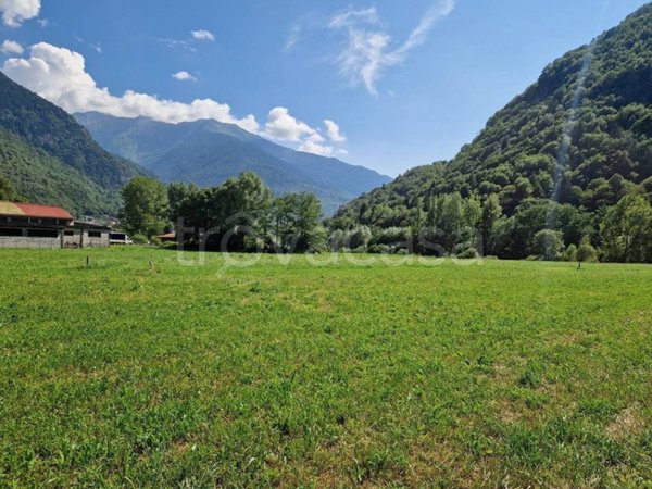 terreno edificabile in vendita a Sonico