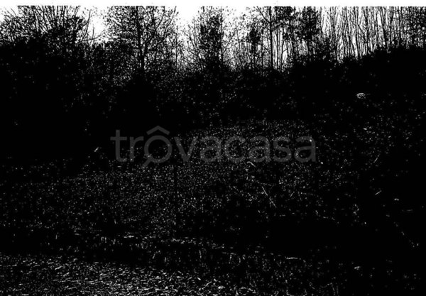 locale commerciale in vendita a Sonico