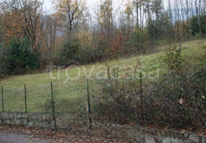 terreno agricolo in vendita a Sonico in zona Rino
