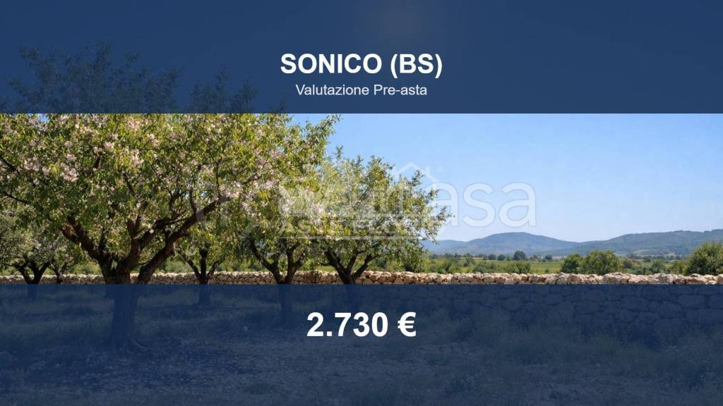 terreno edificabile in vendita a Sonico in zona Rino