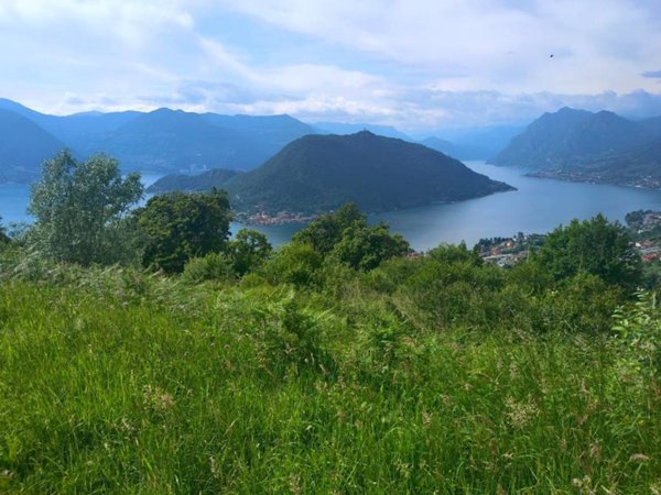 terreno agricolo in vendita a Sulzano