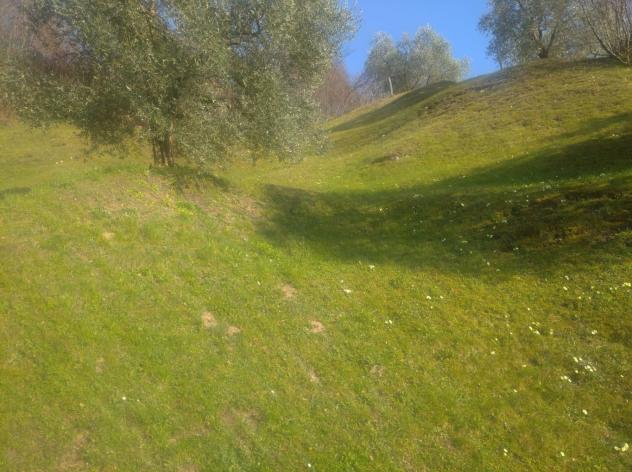 terreno edificabile in vendita a Sulzano