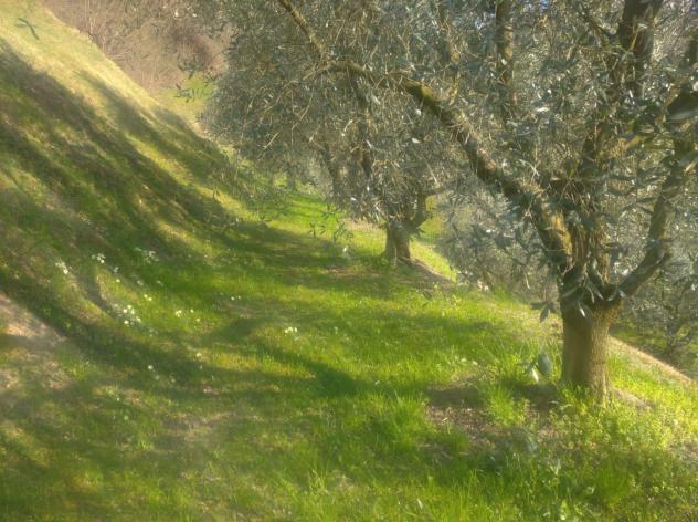 terreno edificabile in vendita a Sulzano