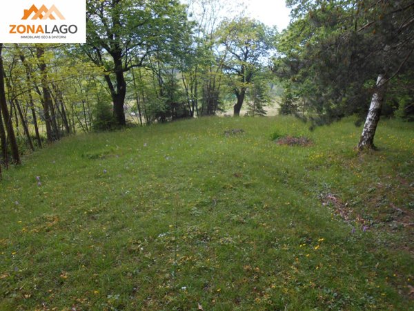 terreno agricolo in vendita a Sulzano